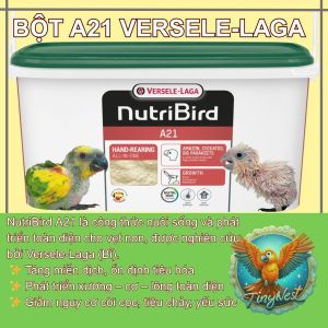 NUTRIBIRD A21 – DƯỠNG CHẤT VÀNG CHO VẸT NON CHIM NON KHỎE MẠNH TỪ TRONG TỔ