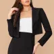 BRANCHÉ Blazers for Women All Season Formal Business Plain Long Sleeve Lapel Cropped Basics Office Lady Blazers B250211. 