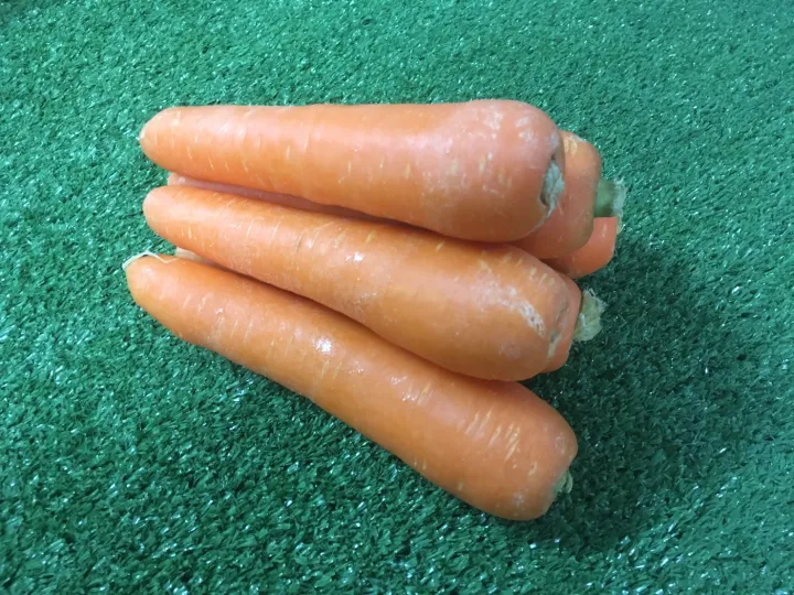 อาหารเสริมสำหรับเด็ก สดใหม่จากสวน แครอท นอก/ออสเตรเลีย[Organic]  - มีใบรับรองปลอดสาร คั้นน้ำอร่อย แครอทนำเข้า แครอทนอก แครอทหวาน Carrot ราคาส่ง ราคาถูก