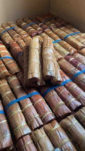 ดักหนู ขี้ใต้ ราคาพิเศษ 1 ชุด 3 อัน 10 ชุด