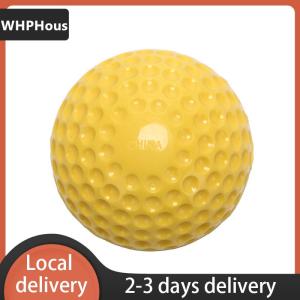 [COD] WHPHous Ship within 24 hours 9  baseballs pu inner soft baseball balls softball training exercise baseball