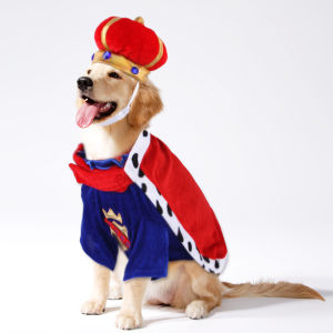 Dog King Dress Up Cloak Costume Golden Retriever Fighting Out Clothes Set Medium and Large Dog Two-piece Cloak Pet Accessories2026