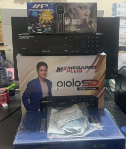 Megapro Plus Piolo SD Player 32 GB SD Card With 20000 Songs And Free High-End Megapro Wired Mic