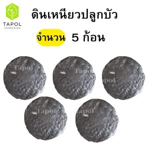 ดินเหนียวปลูกบัว ดินเหนียวอย่างดี ดินบัว ปลูกแล้วน้ำไม่ขุ่น ดินเหนียวสำหรับปลูกไม้น้ำ