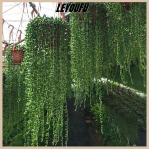 LEYOUFU Plastic Hanging Planter Flower Plant Chain Basket Planter Holder Succulent Plant Flower Pots Flowers Container Home Garden Decor