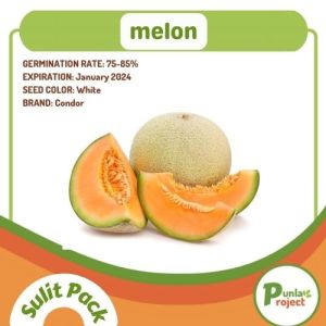 MELON repacked seeds gardening