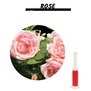 【SG SELLER】10/20pcs Gel Toilet Bowl Cleaner Flower Stamp Toilet Deodorizing Gel Stamp Toilet Air Freshener