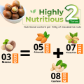 Macadamia Nuts With Shell Dry Roasted & Unsalted 100% Organic Australian Macadamia 200G. 