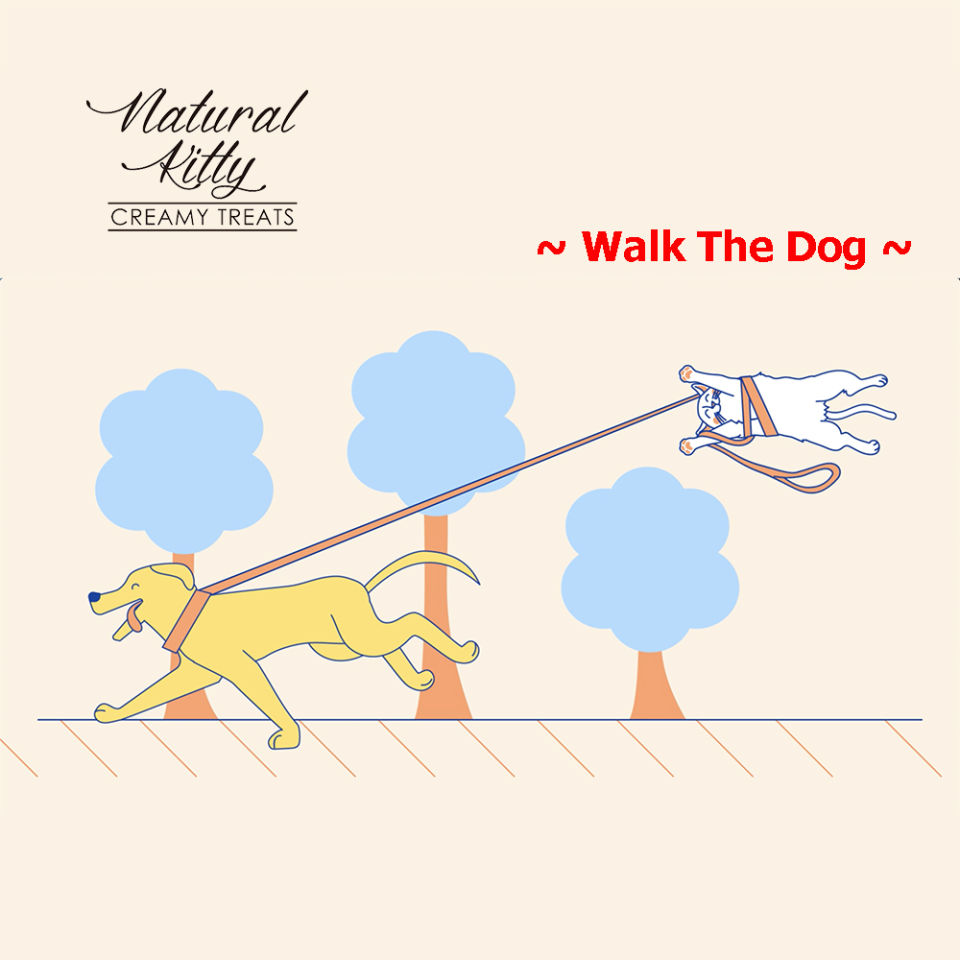 (min of 10 packs -  can mix) Natural Kitty Creamy Treats Superfood Blend Cat Treats 4x12g Per Pack