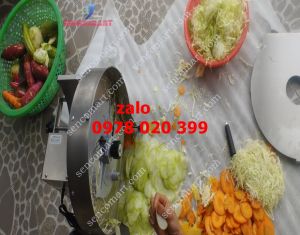 Máy cắt lát các loại củ quả  để phơi  sấy khô