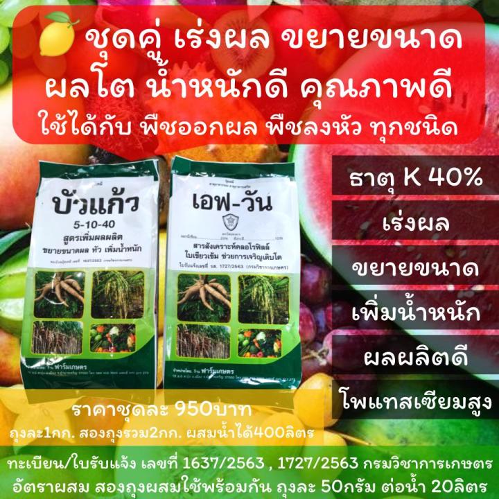 %E0%B8%97%E0%B8%B5%E0%B9%88%E0%B8%AA%E0%B8%B8%E0%B8%94%E0%B8%82%E0%B8%AD%E0%B8%87%20%E0%B8%9B%E0%B8%B8%E0%B9%8B%E0%B8%A2%E0%B9%80%E0%B8%A3%E0%B9%88%E0%B8%87%E0%B8%9C%E0%B8%A5%20%E0%B8%AA%E0%B8%B3%E0%B8%AB%E0%B8%A3%E0%B8%B1%E0%B8%9A%E0%B8%9E%E0%B8%B7%E0%B8%8A%E0%B8%AD%E0%B8%AD%E0%B8%81%E0%B8%9C%E0%B8%A5%E0%B8%97%E0%B8%B8%E0%B8%81%E0%B8%8A%E0%B8%99%E0%B8%B4%E0%B8%94%20%E0%B9%83%E0%B8%AB%E0%B9%89%20%E0%B9%82%E0%B8%9E%E0%B9%81%E0%B8%97%E0%B8%AA%E0%B9%80%E0%B8%8B%E0%B8%B5%E0%B8%A2%E0%B8%A1%20%E0%B8%A1%E0%B8%B2%E0%B8%81%E0%B8%96%E0%B8%B6%E0%B8%87%2040%25%20%E0%B9%80%E0%B8%A3%E0%B9%88%E0%B8%87%E0%B8%9C%E0%B8%A5%E0%B9%82%E0%B8%95%20%E0%B8%99%E0%B9%89%E0%B8%B3%E0%B8%AB%E0%B8%99%E0%B8%B1%E0%B8%81%E0%B8%94%E0%B8%B5%20%E0%B9%82%E0%B8%9B%E0%B8%A3%E0%B8%94%E0%B8%AD%E0%B9%88%E0%B8%B2%E0%B8%99%E0%B8%A7%E0%B8%B4%E0%B8%98%E0%B8%B5%E0%B9%83%E0%B8%8A%E0%B9%89%20-%20Image%204