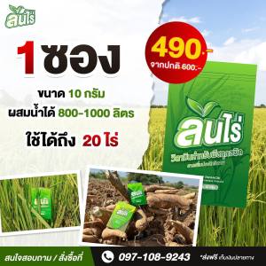 🌱🌱ล้นไร่ สูตรขยายหัวมัน (1 ซอง) หัวดกใหญ่ %แป้งสูง ใบเขียว ต้นโตสะสมอาหารดี ลดเชื้อรา แมลงไม่กวน ถูกใจชาวไร่มัน