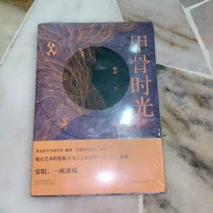 【正版现货/新书】甲骨时光 陈河 著 发掘历史系列新作 神秘与梦幻 迷雾重重的文化保卫战 历史科幻侦探长篇小说