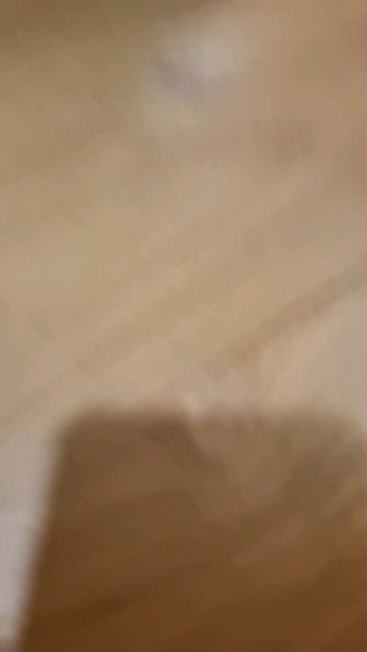 Buyer review video 3