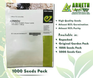 XANADU MINI ROMAINE LETTUCE SEEDS BY ENZA ZADEN