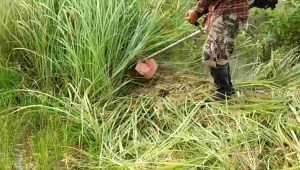 ใบมีดตัดหญ้าตัดเตียน ชุดใหญ่