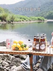 Portable Folding Bag Basin with Handle / Beg Lipat Mudah Alih untuk Mandi Kaki Basuh Muka Sayur & Baju Bucket