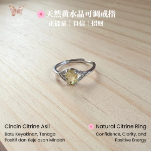 Natural Citrine Adjustable Ring Collection Silver-Plated Yellow Crystal Ring Women Jewelry Gift November Birthstone (Style #11)-RRC