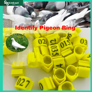 10Pcs 20Pcs Pigeon oval ring Yellow Pigeon foot ring Adjustable Dove clip ring Pigeon accessories