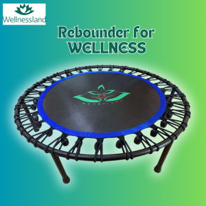 Rebounder for Wellness