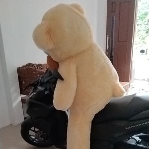 Boneka Tedy Bear Super Besar 15 Meter