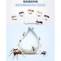 [SG Stock Ready] 12g Bayer Ant Killer/Bait Eliminate Ant Infestation Germany Product Kill Multiple Ant Species Gel Form. 