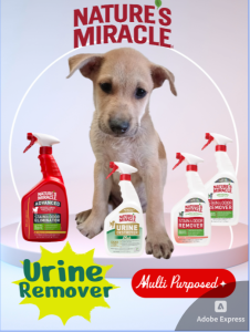 Nature’s Miracle Advanced Stain & Odor Eliminator DA-3272