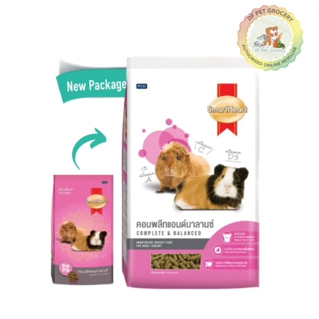Fresh Look at Guinea Pig Care Ultimate Feeding Diet Guide