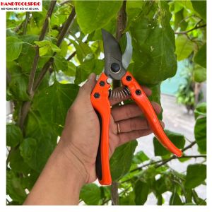 8.5″ Kéo cắt cành cao cấp BUDDY BD027