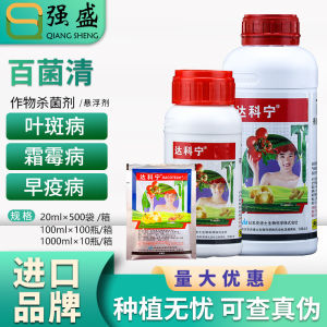 Dakine  40% Chlorothalonil   Downy Mildew Powdery Mildew Anthracnose Leaf Spot Late Early Blight Pesticide Fungicide