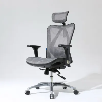 SIHOO M57 Ghế văn phòng công thái học