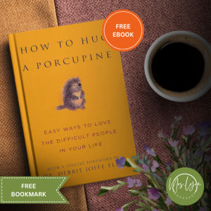 How to Hug a Porcupine by Debbie Joffe Ellis (paperback)