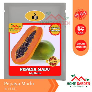 Benih Bibit Buah Pepaya Madu Super Manis California isi 5 Biji