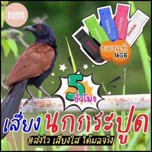 เสียงต่อนกกระปูด เมมเสียงนกกระปูด แฟลชไดร์ฟเสียงต่อนกกระปูด มีเก็บเงินปลายทาง