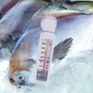 Household Home Fridge Freezer Refrigerator Refrigeration Temperature