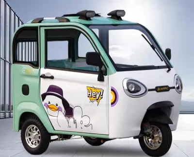 Custom All Designs - New 60V 70A High-Quality Electric Trike with 3-Door Canopy Long Range for Adults - New Condition