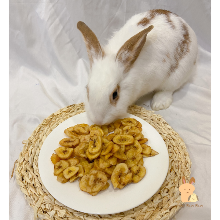 Guinea Pig Dried Fruit Snack Reviews Reference: Dried Banana Natural Healthy Snack Treat Food Feed Rabbit Chinchilla