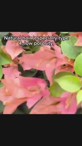 &honey Hair Oil [100ml] - imported directly from Japan