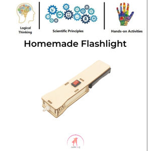 DIY Handmade Science STEM Kit: DIY Flashlight : Educational Science Toys: STEM Toy for Kids Wooden Toys DIY Toys