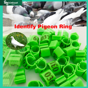 10Pcs 20Pcs Pigeon oval ring Green Pigeon foot ring Adjustable Dove clip ring Pigeon accessories