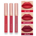 3PCS Matte Lipstick Set Matte Liquid Lipstick Long Wearing Hydrating Cosmetics Cruelty-Free. 