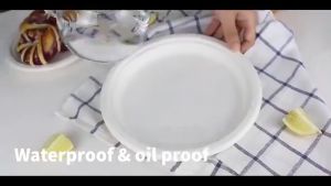 50pcs Disposable Plate 9-10" Extra Strong Microwave Safe Paper Plate Cut Oil Resistant