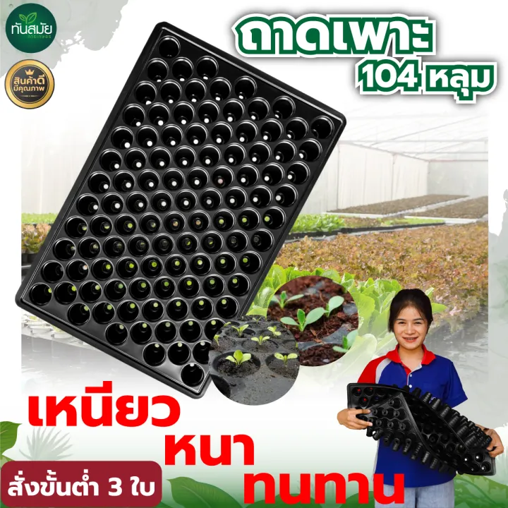 ถาดเพาะกล้า 104 หลุม ตรา ควายไทย หนา ทนทาน ใช้ซ้ำได้