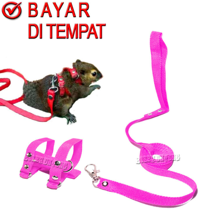 Tupai Hamster Tali Sugar Glider HARNES H TALI TUNTUN SUGAR GLIDER