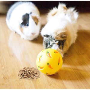 POXIA Bite Resistant Rabbit Treat Ball Interactive PVC Cat Leaking Ball Practical Cat Feeding Toys For Kitten