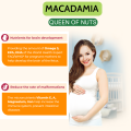 Macadamia Nuts With Shell Dry Roasted & Unsalted 100% Organic Australian Macadamia 200G. 