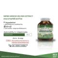 Ginkgo Biloba Extract ใบแปะก๊วย สกัด จิงโกะ สูตรเข้มข้น อาหารเสริม 30 แคปซูล ของแท้100%. 