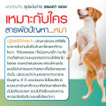ไล่แมว ไล่หมา คุณภาพดีเยี่ยม. 