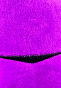 Share Your Kidneys Stickers – 15-Pack Vinyl Kidney Stickers for Kidney Disease Awareness Transplant Warriors Dialysis Patients CKD Support Water Bottles Journals Gifts