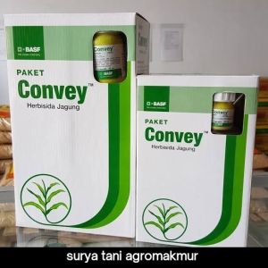 HERBISIDA JAGUNG CONVEY 20ML /40ML AMPUH BASMI GULMA JAGUNG